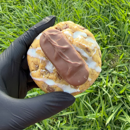 COCONUT 🥥 (édition limitée)
