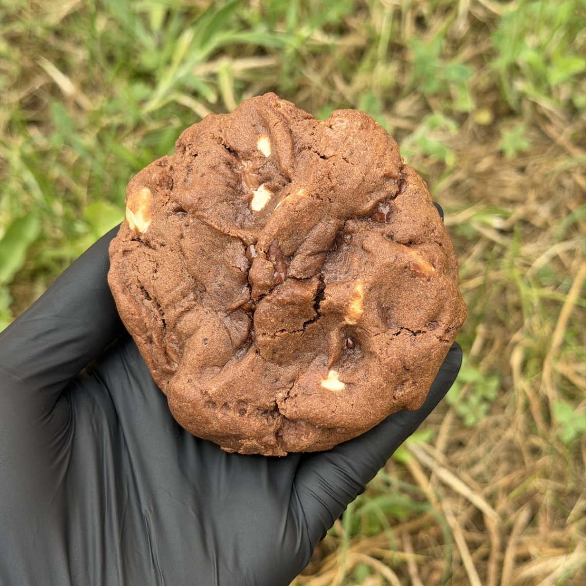 Gros plan d'un cookie fait maison triple chocolat avec une pâte vanillée au cacao craquelée à l'extérieur, révélant de gros éclats de chocolat blanc et noir, présenté dans une main sur fond végétal.
